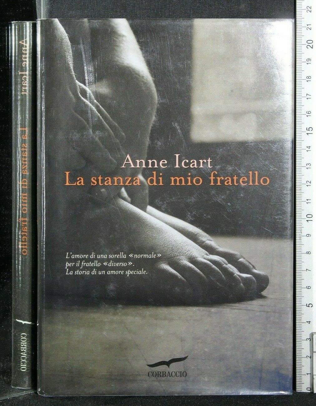 La stanza di mio fratello book