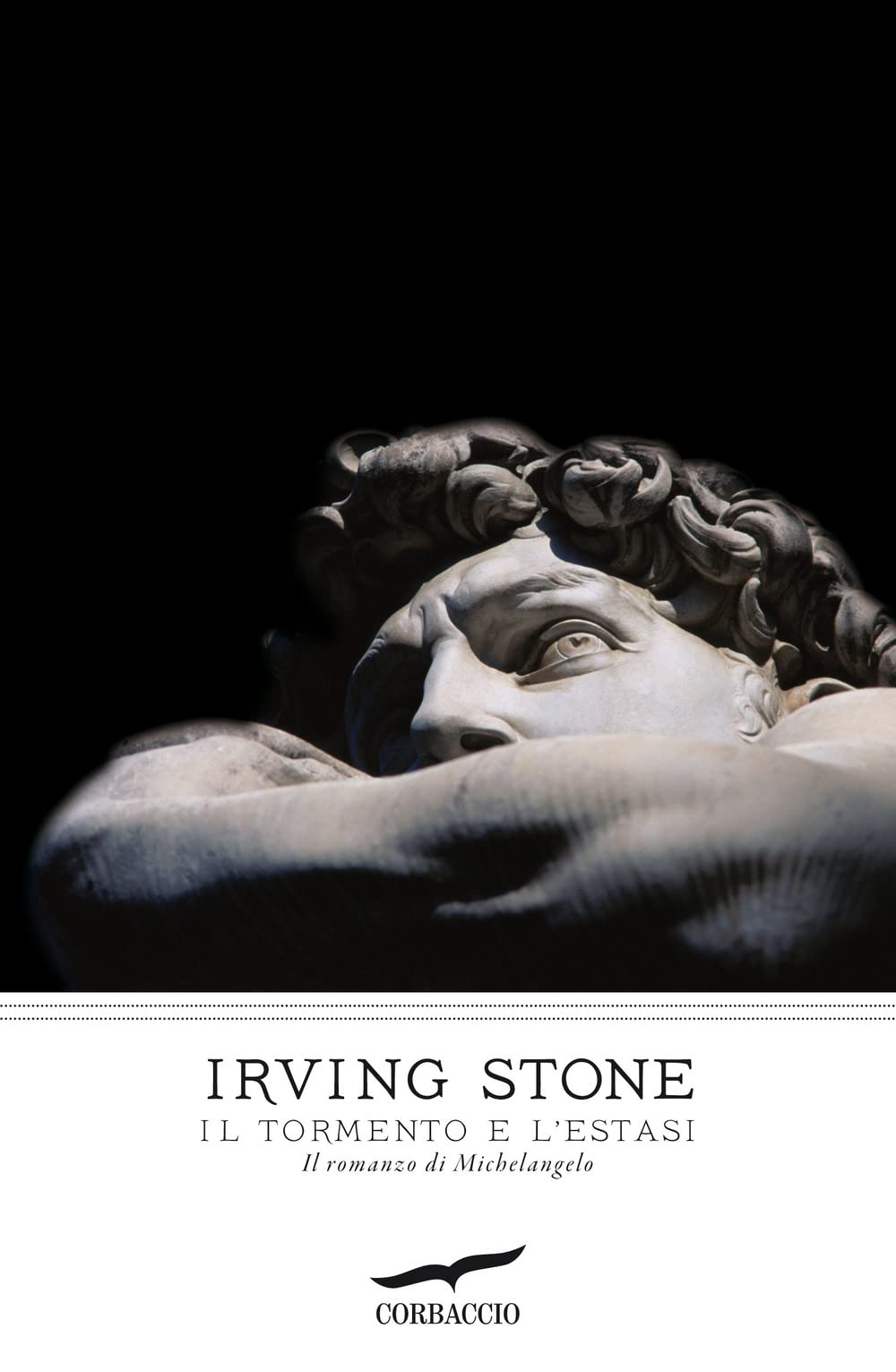 Il tormento e l'estasi. Il romanzo di Michelangelo book