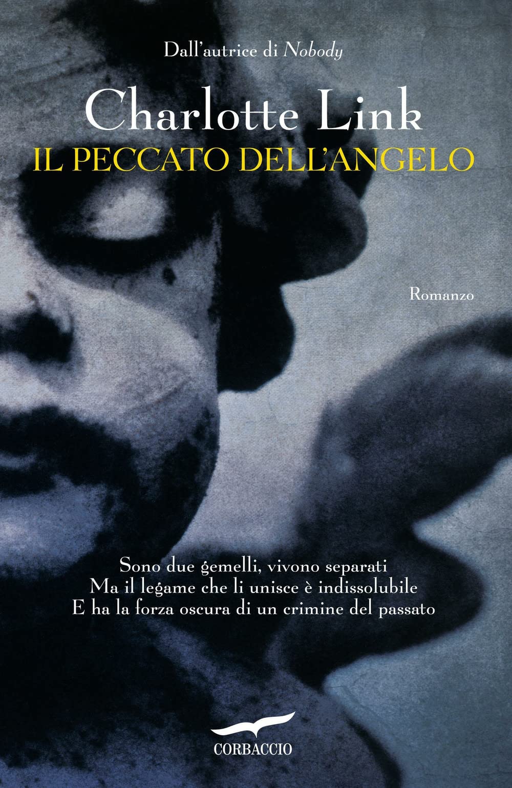 Product Image: Il peccato dell'angelo