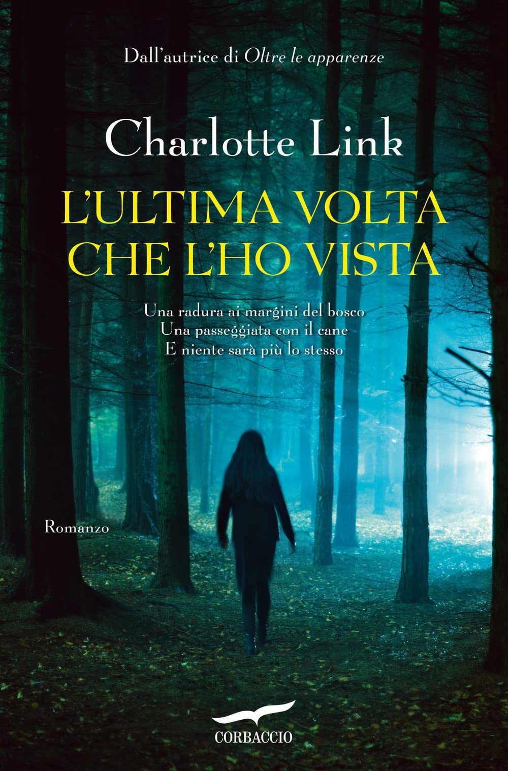 L'ultima volta che l'ho vista (Top Thriller) Contemporary literature