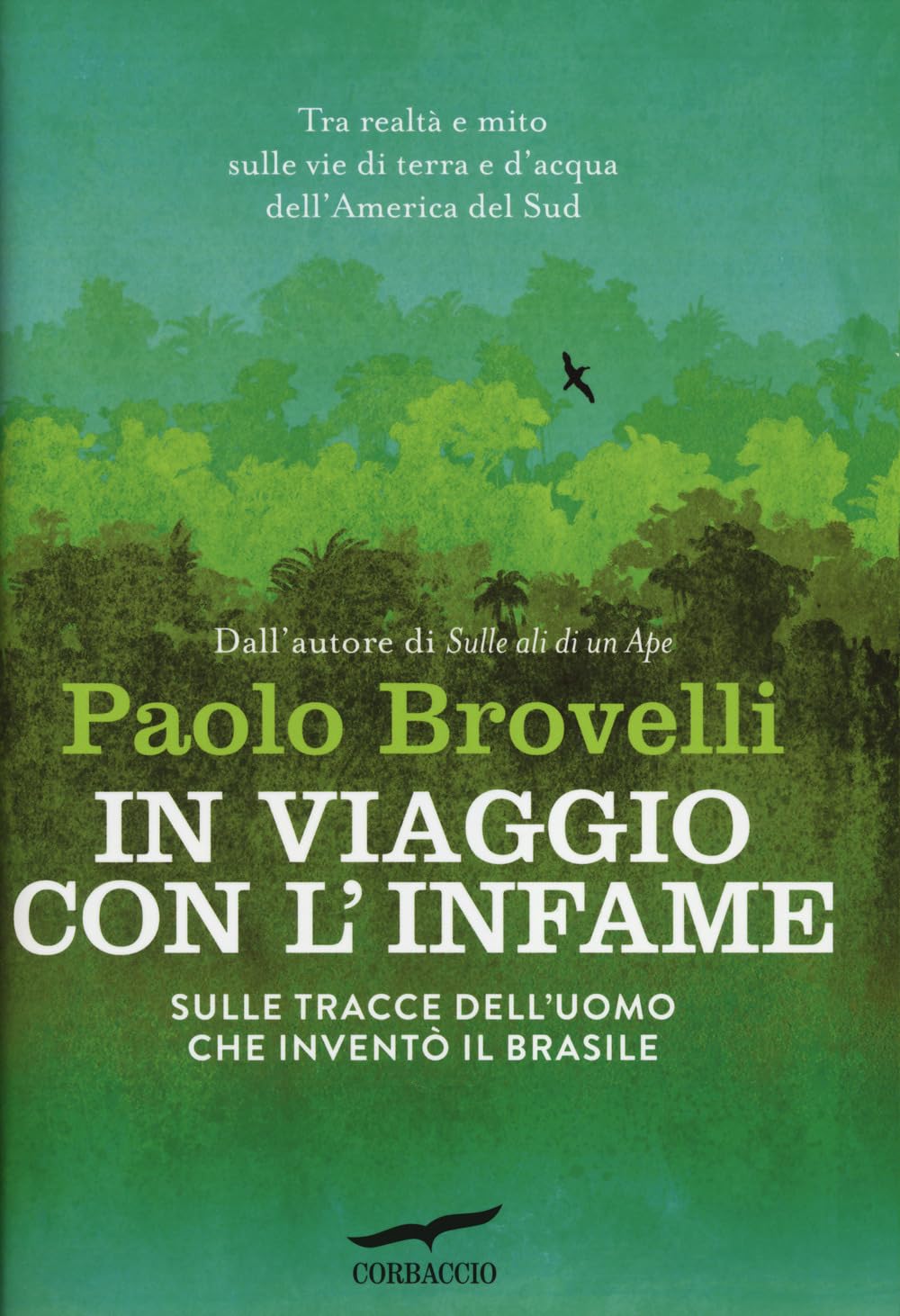 In viaggio con l'Infame. Sulle tracce dell'uomo che inventò il Brasile book