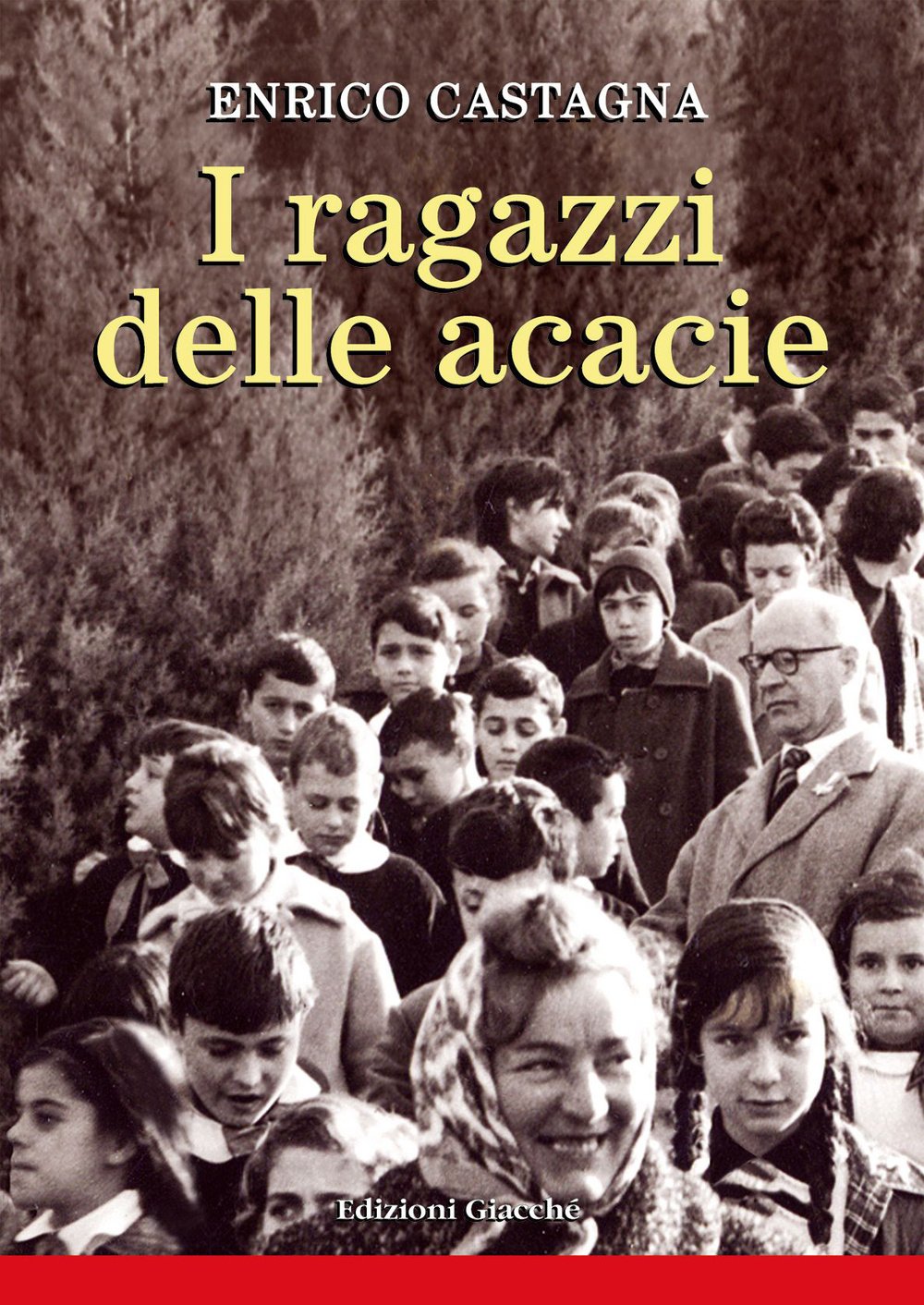 I ragazzi delle acacie book
