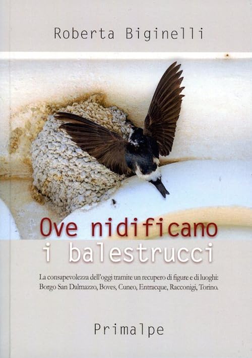 Ove nidificano i balestrucci. La consapevolezza dell'oggi tramite un recupero di figure e di luoghi: Borgo san Dalmazzo, Boves, Cuneo, Entracque, Racconigi, Torino book