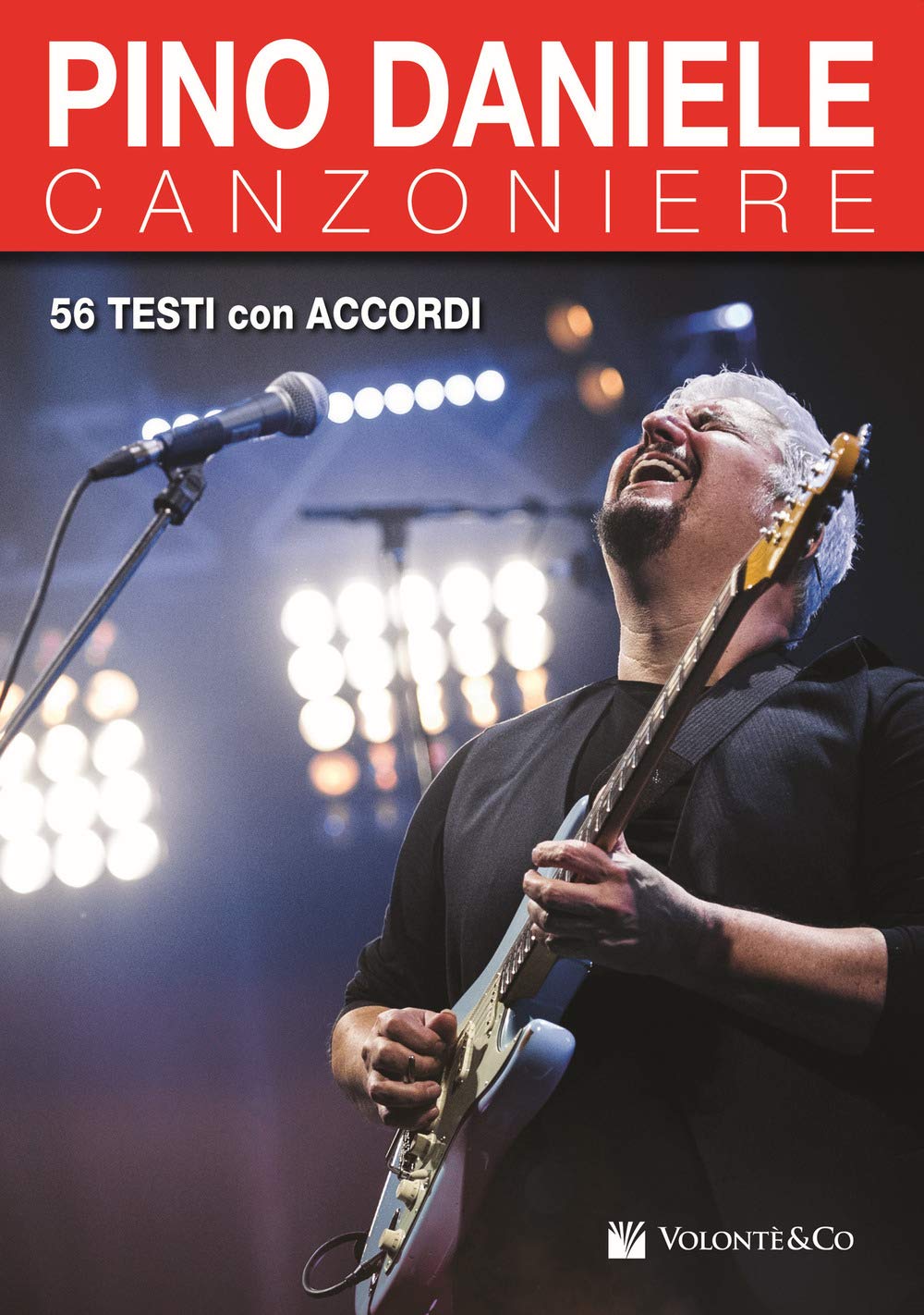 Canzoniere Pino Daniele book