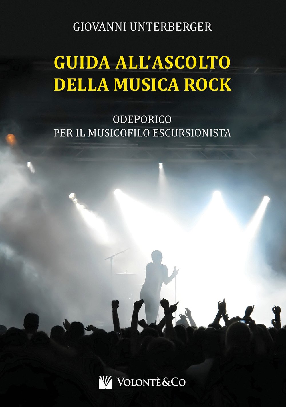 Guida All'Ascolto Della Musica Rock book