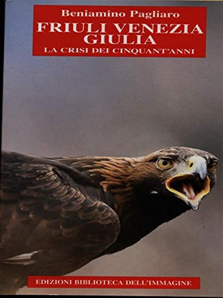 Friuli Venezia Giulia. La crisi dei cinquant'anni book