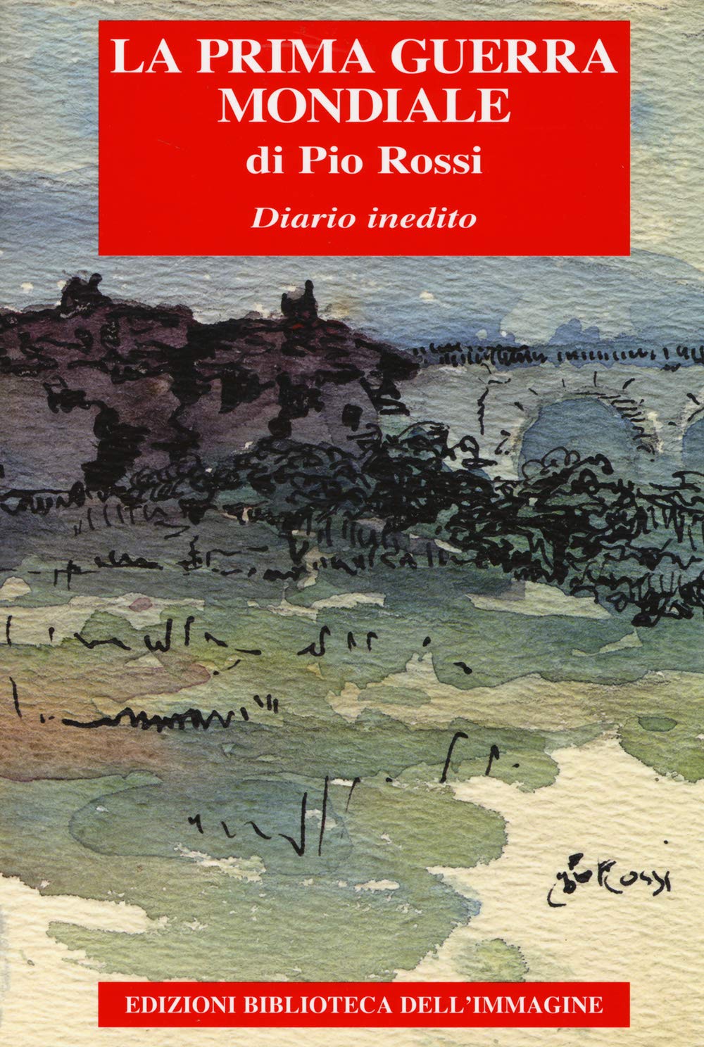 La Prima guerra mondiale. Diario inedito book