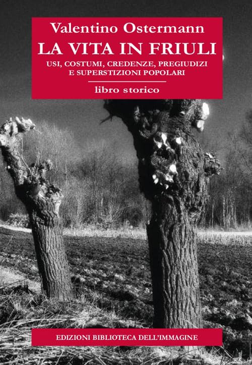 La vita in Friuli. Usi, costumi, credenze, pregiudizi e superstizioni popolari book
