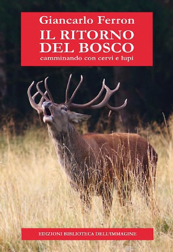 Il ritorno del bosco. Camminando con cervi e lupi book