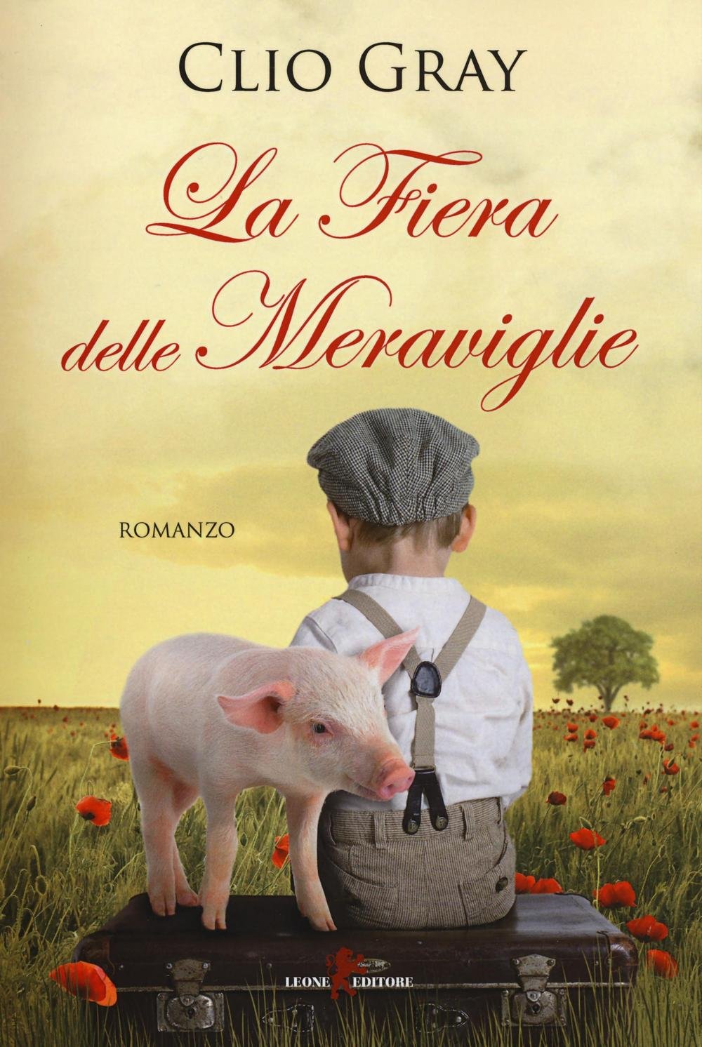 La fiera delle meraviglie book