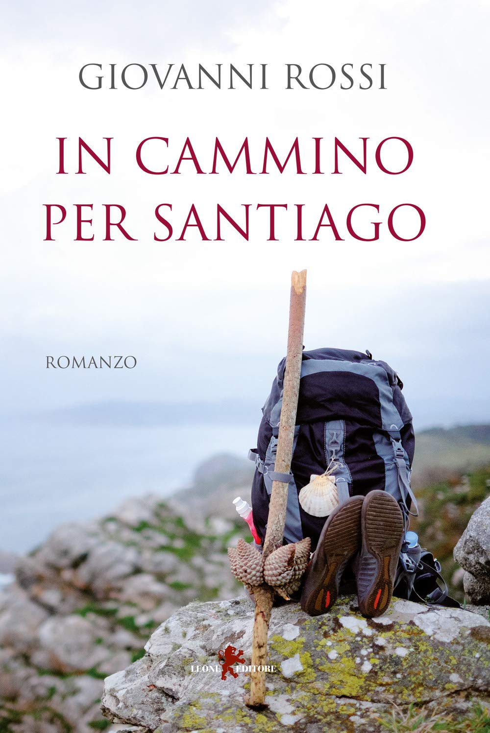 In cammino per Santiago book