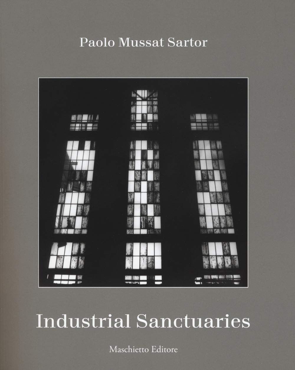 Industrial sanctuaries. Ediz. illustrata book