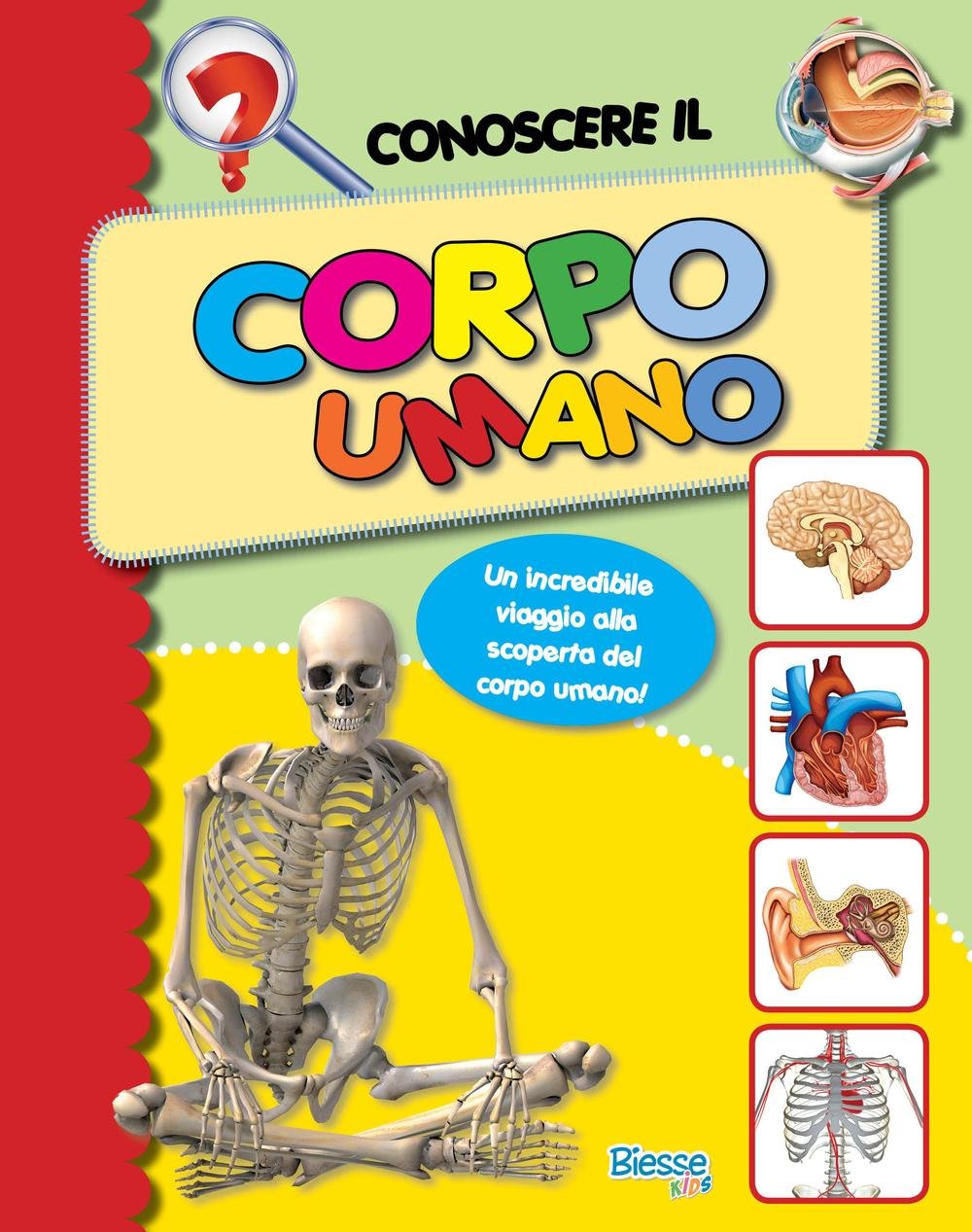 Conoscere il corpo umano. Un incredibile viaggio alla scoperta del corpo umano book
