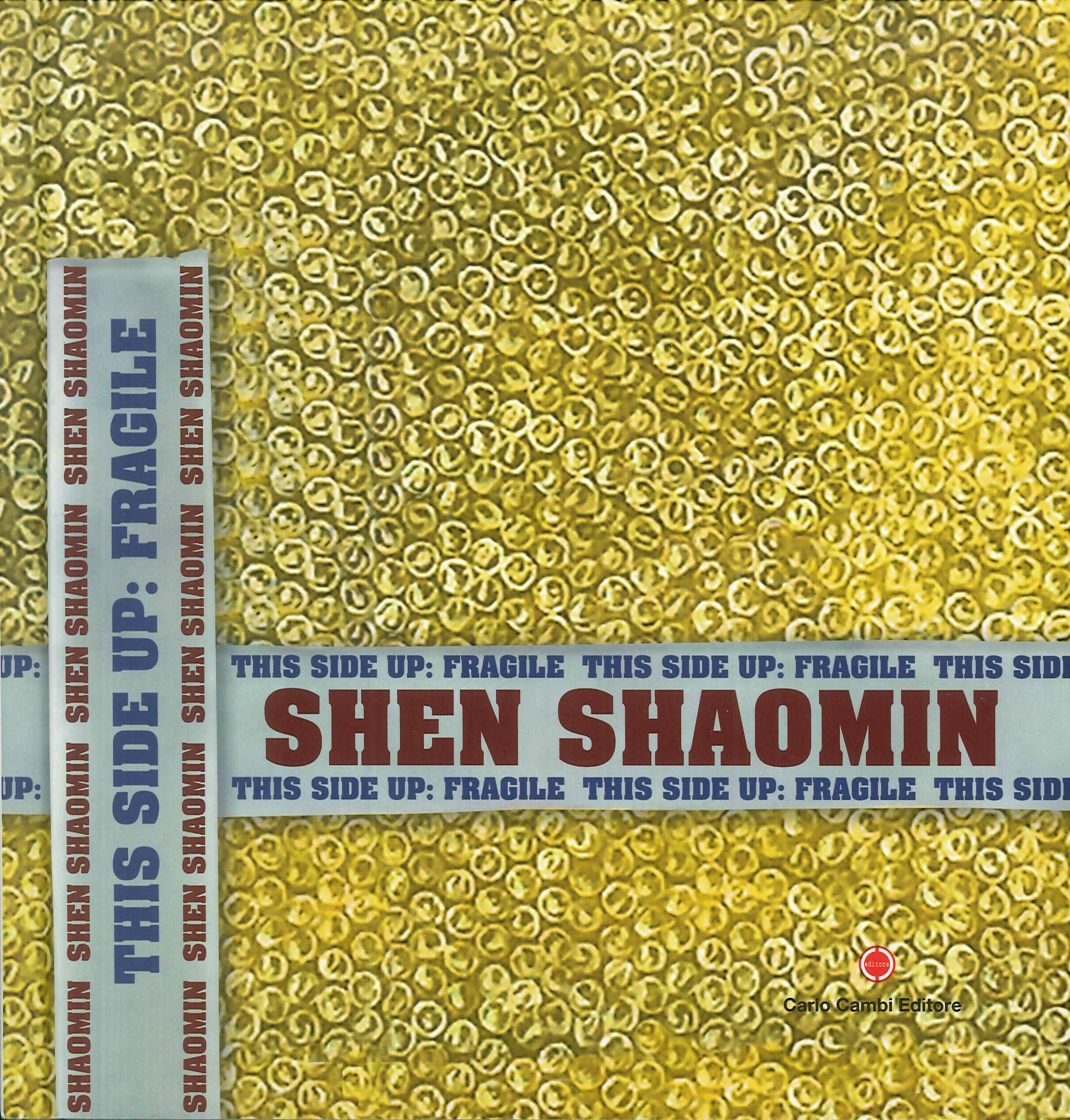 Shen Shaomin. This side up: fragile. Ediz. italiana, inglese e cinese book