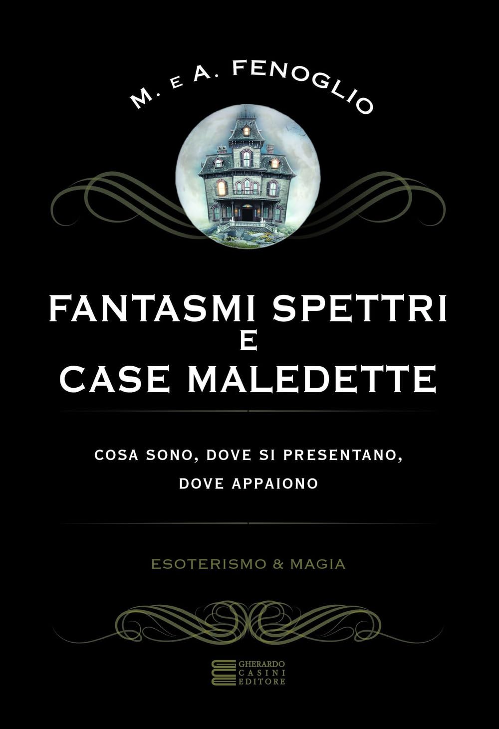 Fantasmi, spettri e case maledette. Che cosa sono e dove appaiono book