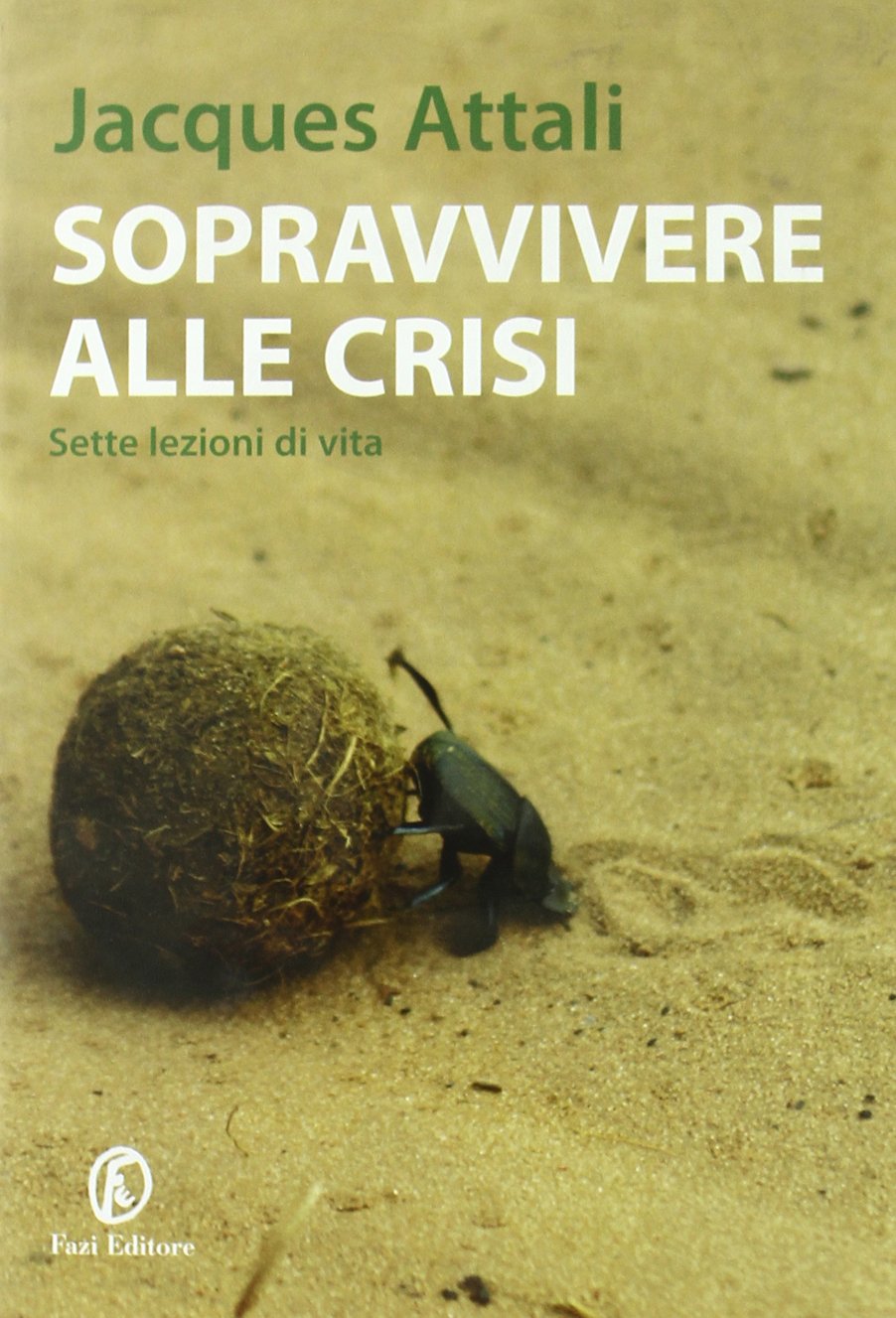 Sopravvivere alla crisi. Sette lezioni di vita book