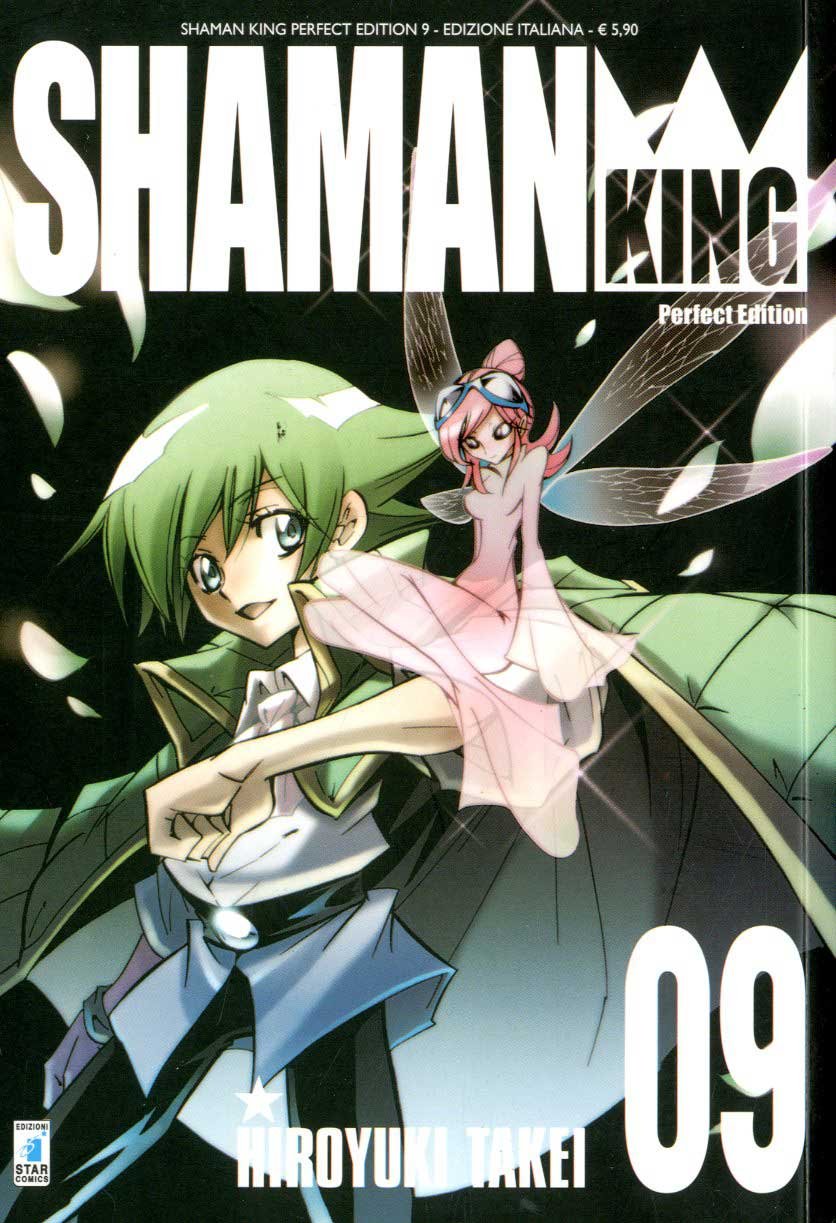Hiroyuki, T: Shaman King. Perfect edition Manga