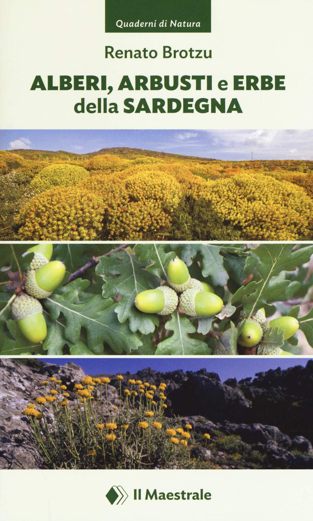 Alberi, arbusti e erbe della Sardegna. Ediz. a colori book