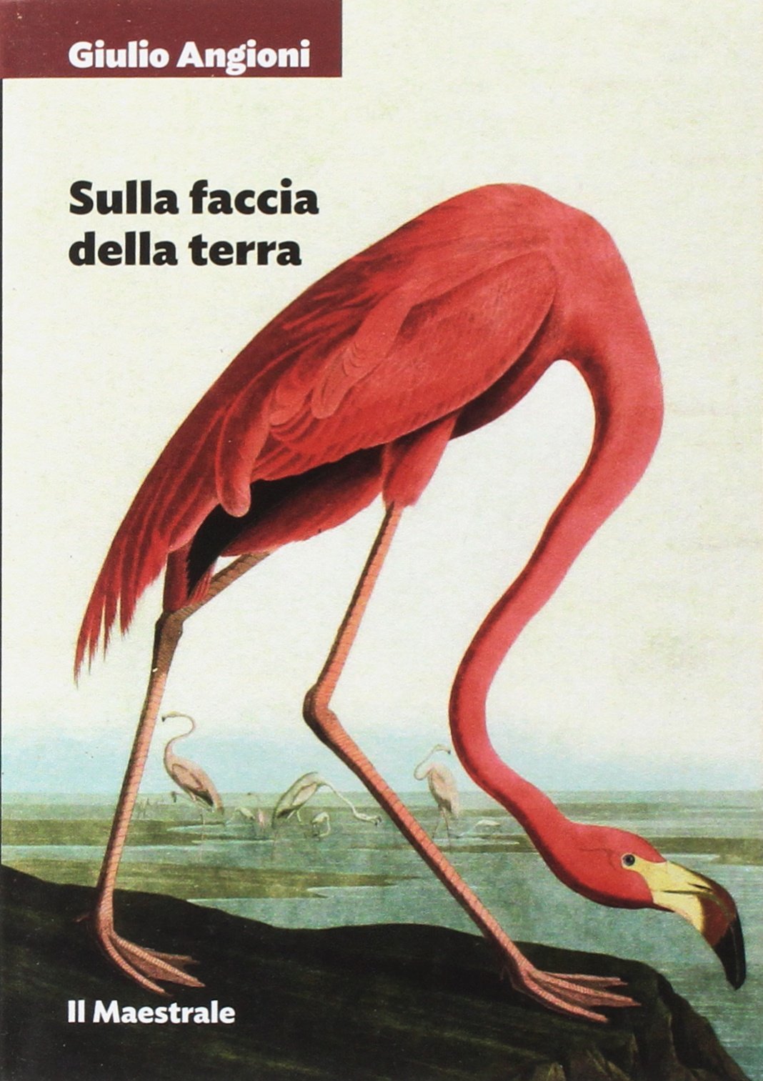 Sulla faccia della terra Historical Fiction