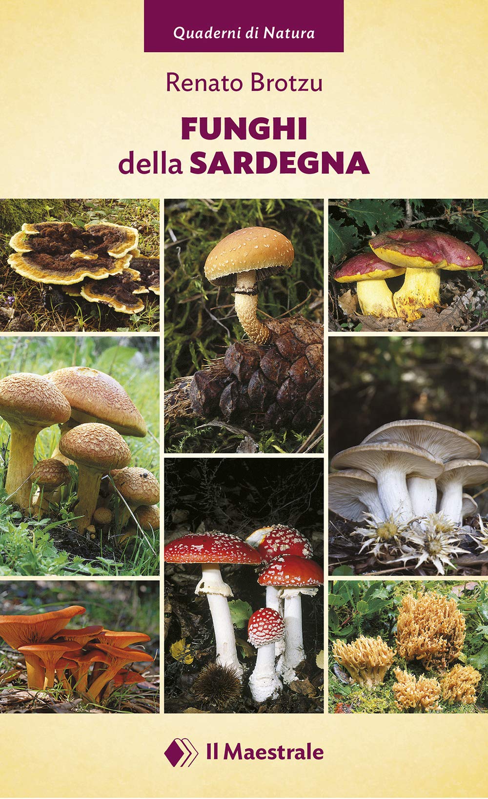 Funghi della Sardegna. Ediz. a colori (Quaderni di Natura) Leisure, Home & Garden