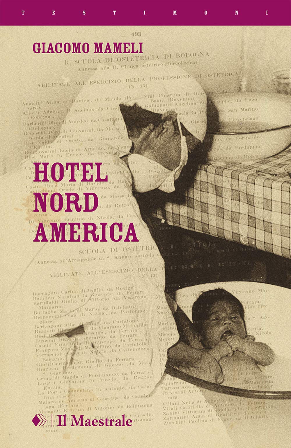 Hotel Nord America Historical Fiction