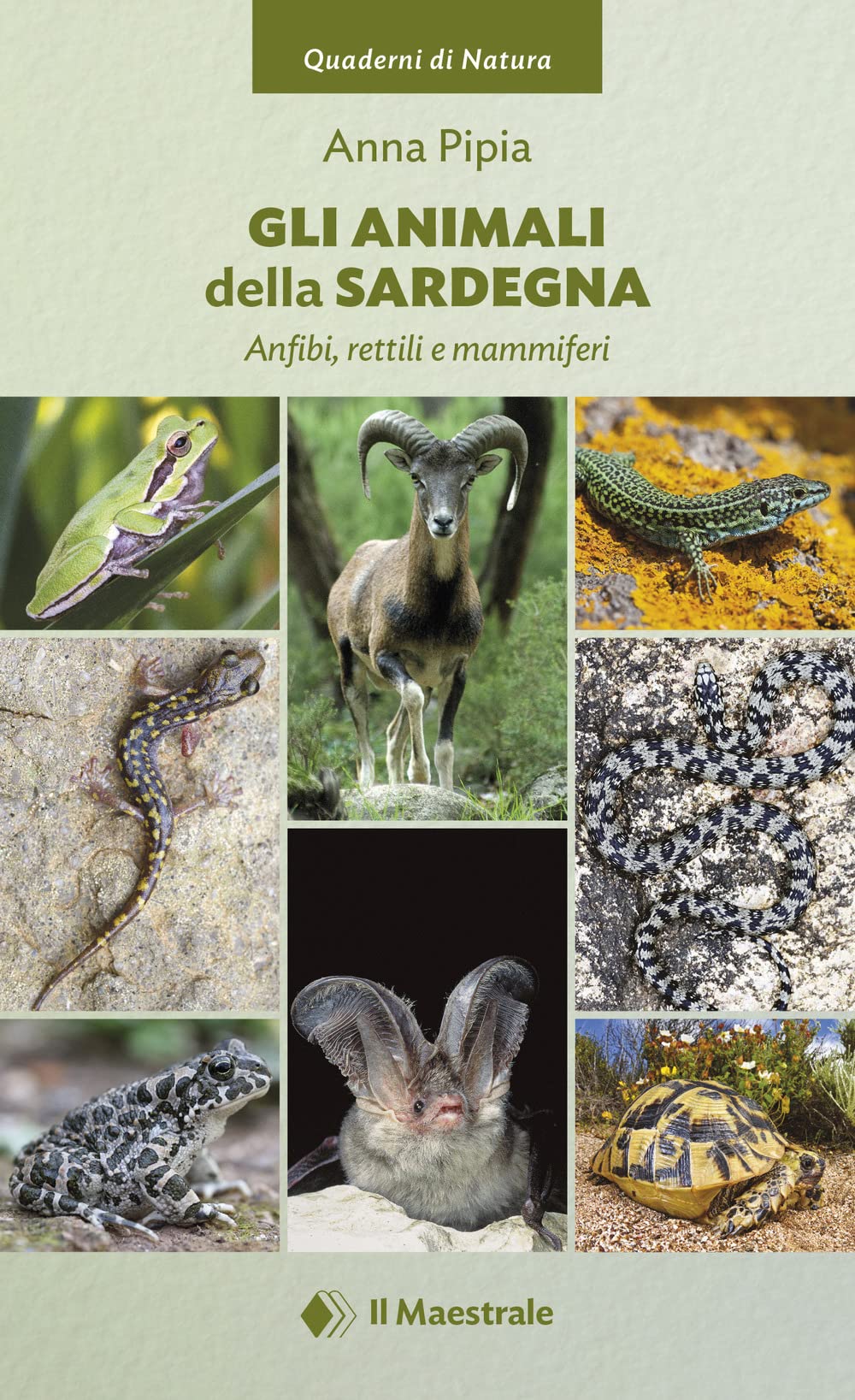 Gli animali della Sardegna. Anfibi, rettili e mammiferi (Quaderni di Natura) Leisure, Home & Garden