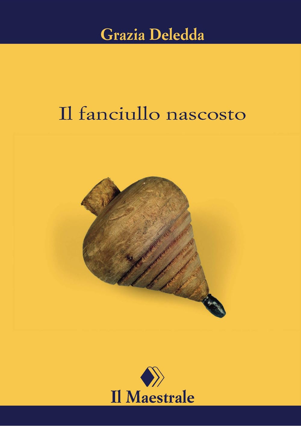 Il fanciullo nascosto book