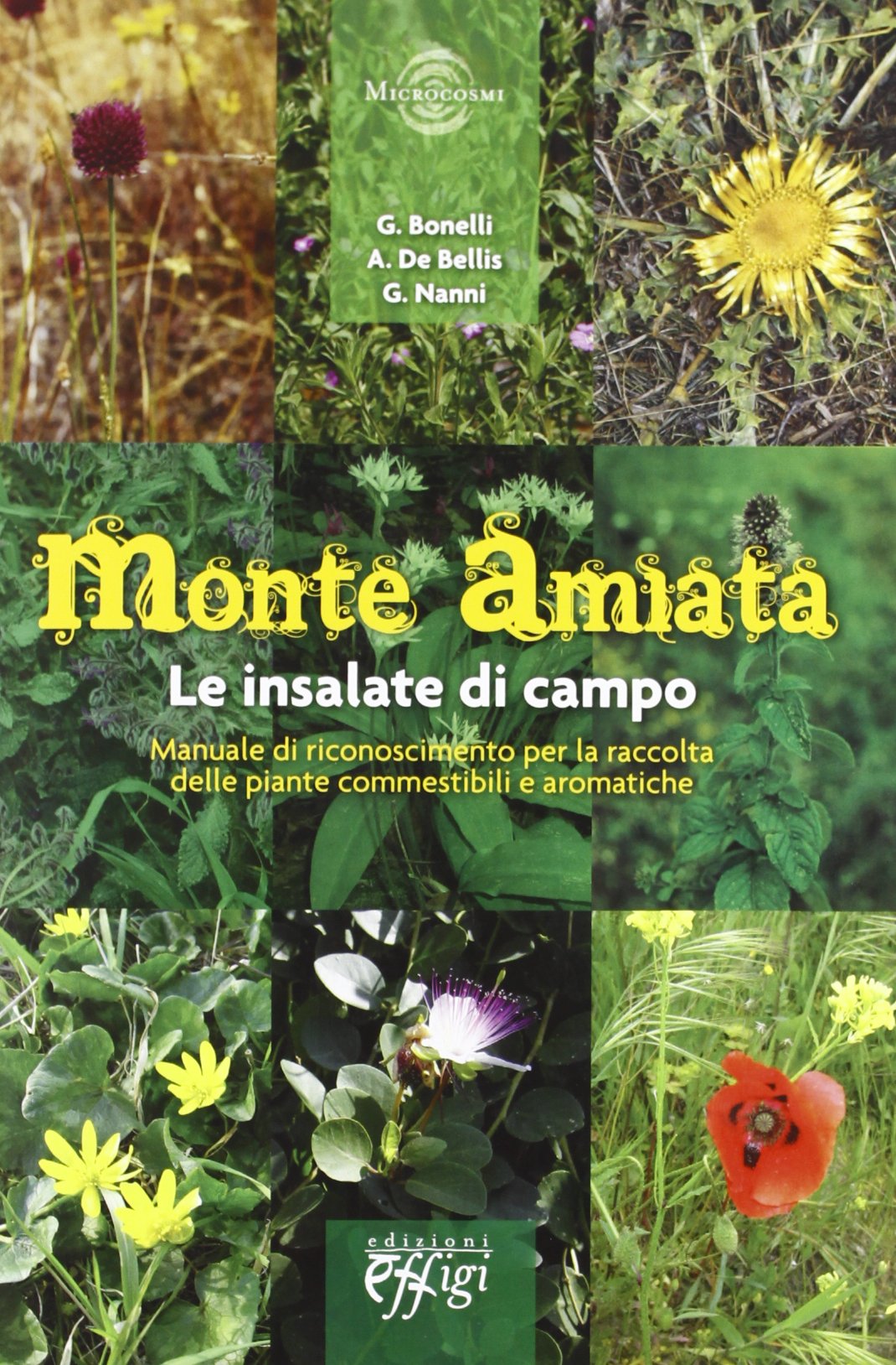 Monte Amiata. Le insalate di campo. Manuale di riconoscimento per la raccolta delle piante commestibili e aromatiche (Microcosmi) Natural Sciences