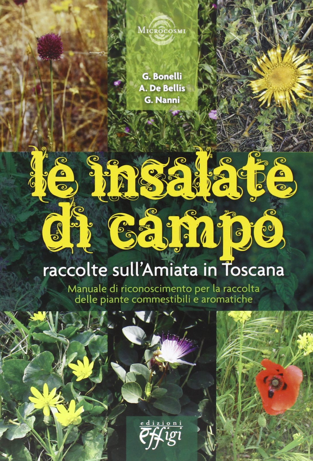 Le insalate di campo. Raccolte sul monte Amiata in Toscana book