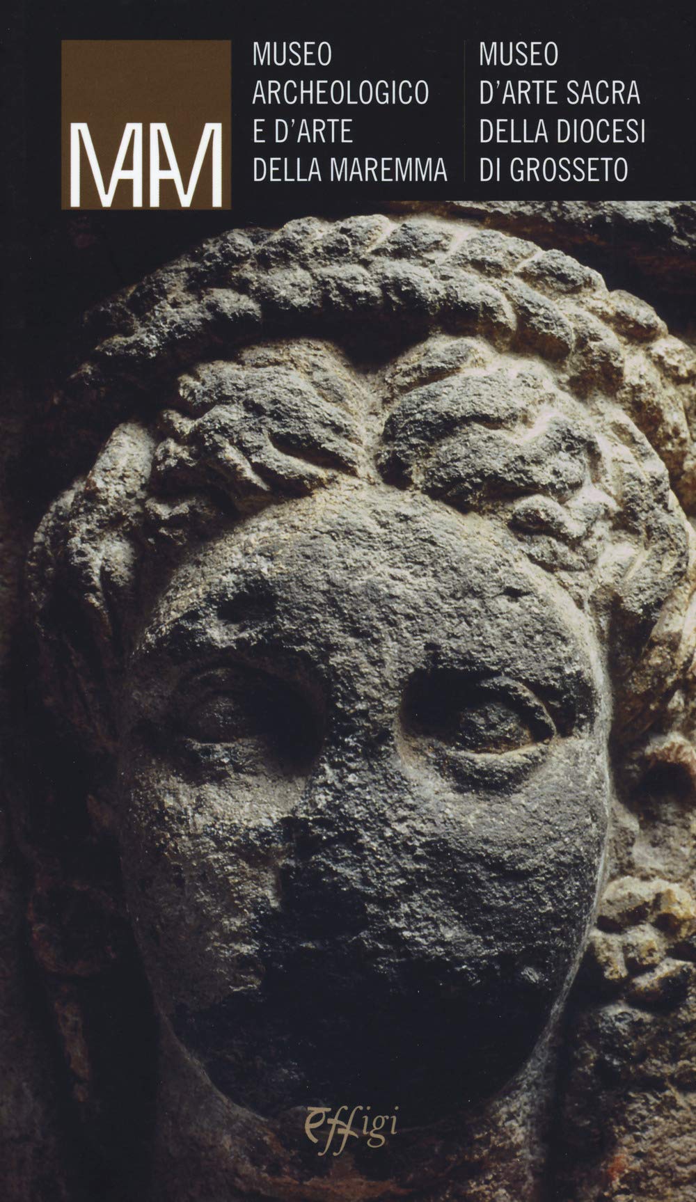 Museo archeologico e d'arte della Maremma. Museo d'arte sacra della diocesi di Grosseto book