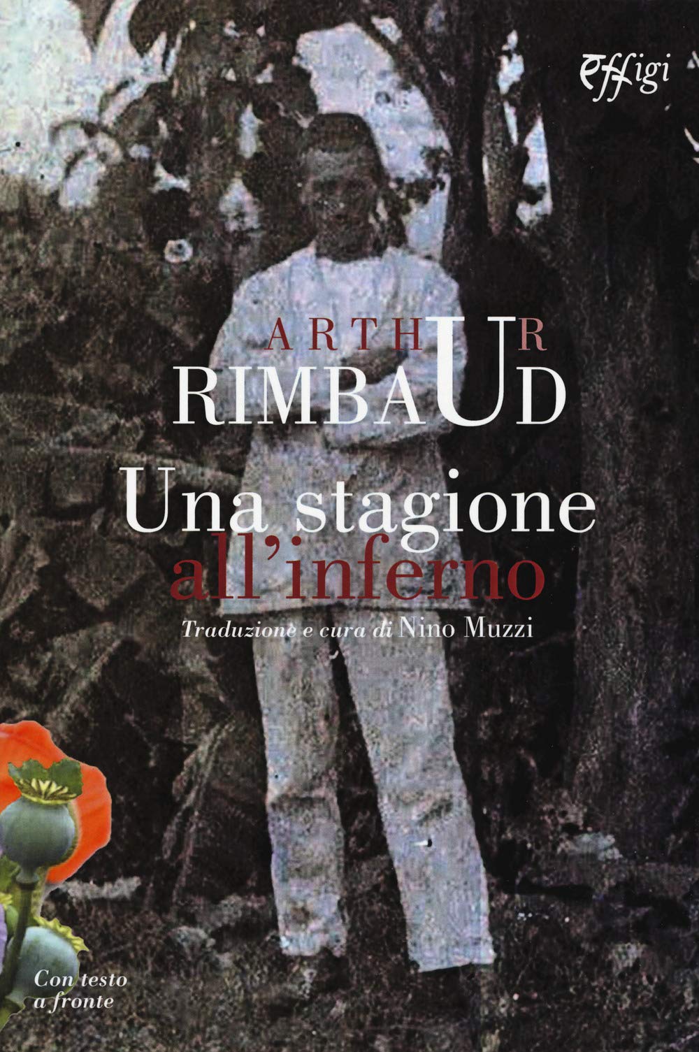Una stagione all'inferno. Testo originale a fronte (Poesia) Poetry