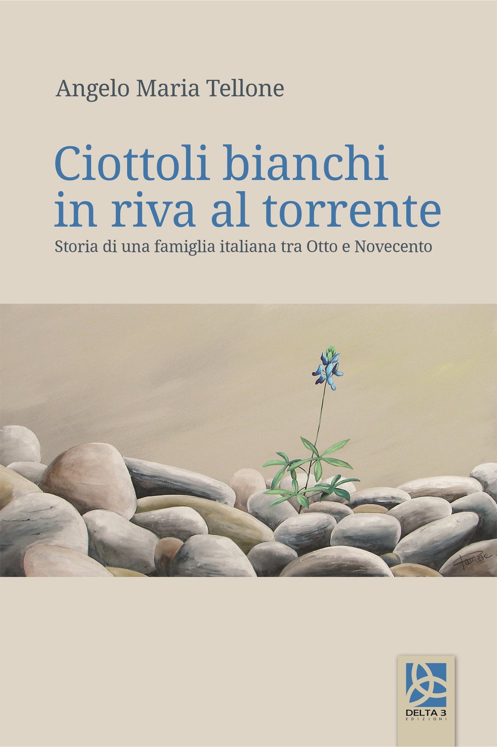 Ciottoli bianchi in riva al torrente. Storia di una famiglia italiana tra Otto e Novecento book