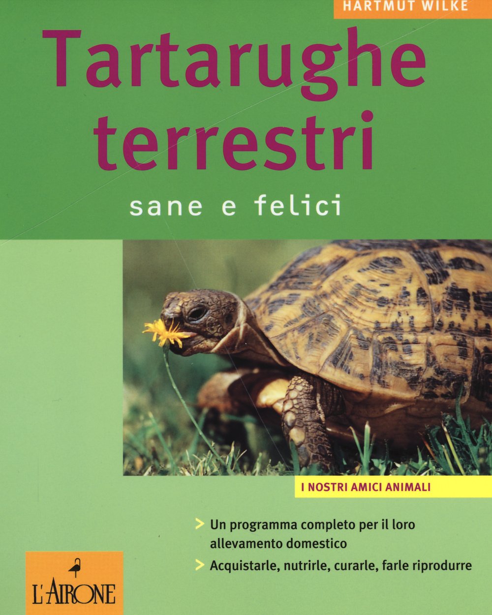 Tartarughe terrestri. Sane e felici book