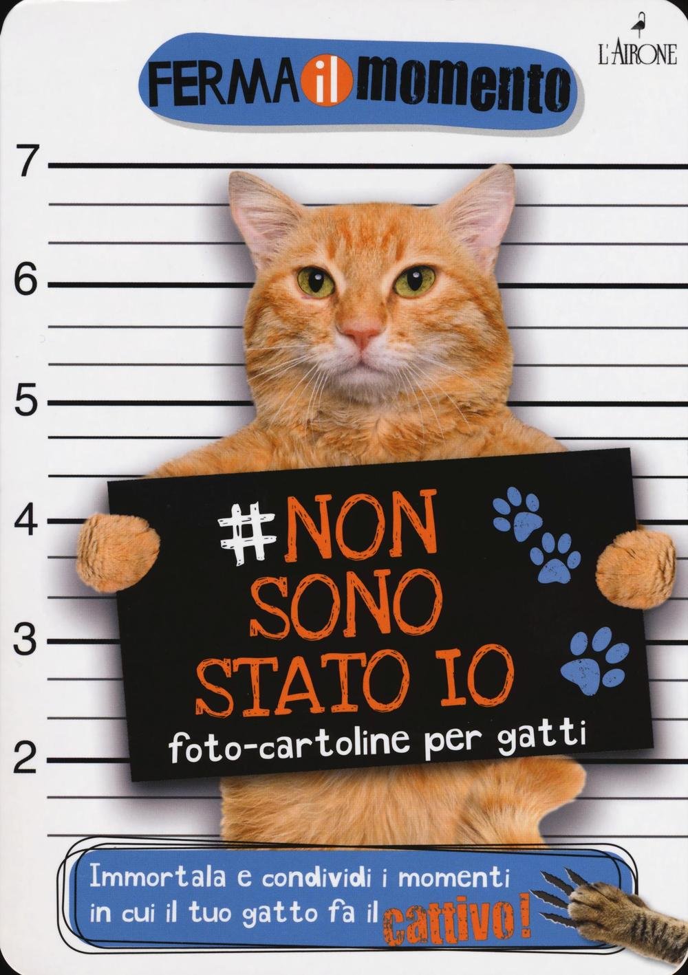 Non sono stato io. Foto-cartoline per gatti book