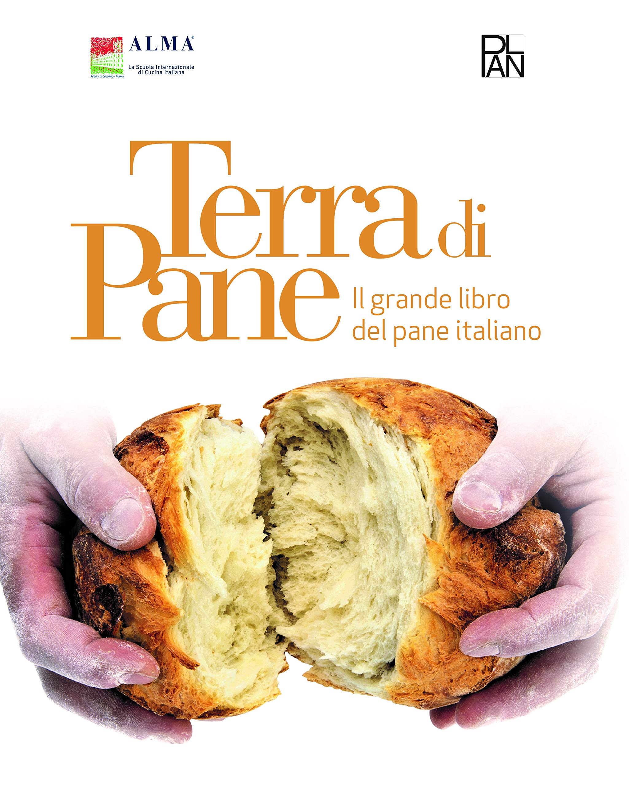 Terra di pane. Il grande libro del pane italiano book