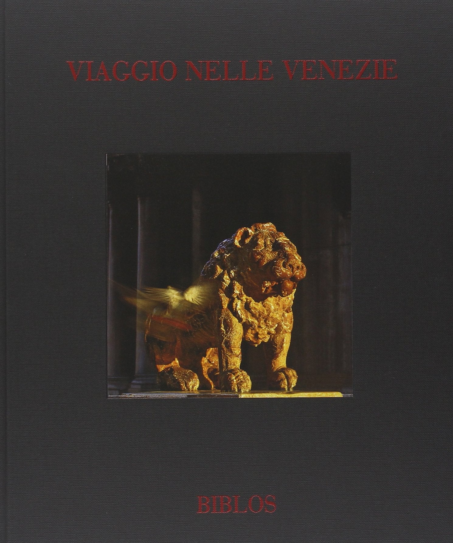 Viaggio nelle Venezie-From Veneto to Veneto. Ediz. a colori book