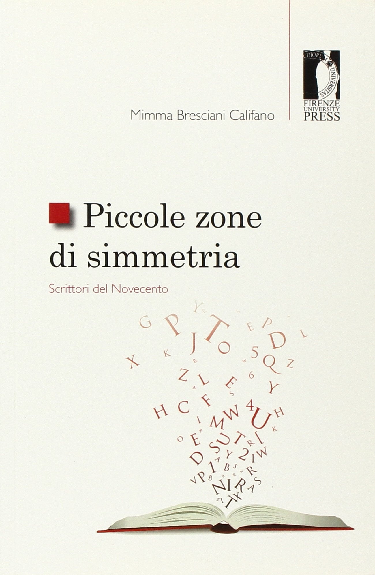 Piccole zone di simmetria. Scrittori del Novecento book