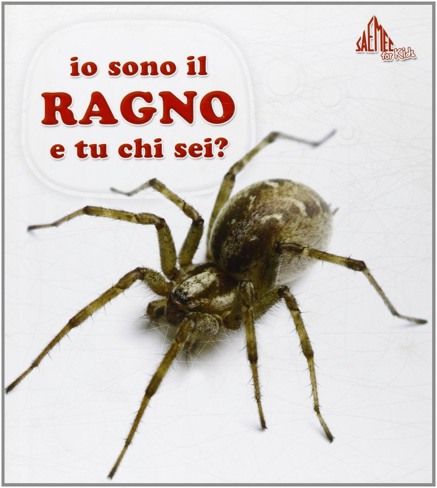 Io sono il ragno e tu chi sei? Ediz. illustrata Non-fiction books for kids