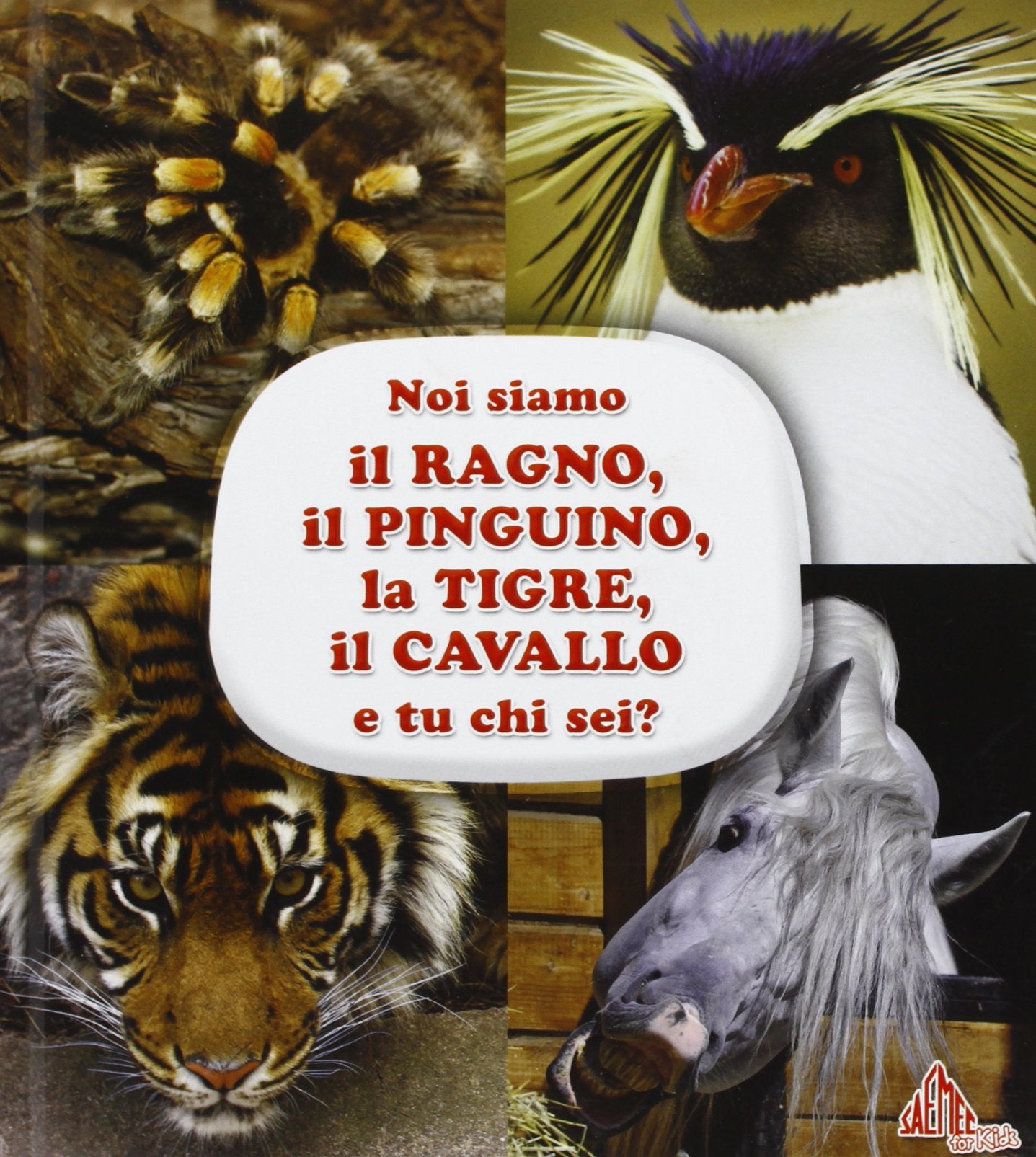 Animali si raccontano. Tigre-ragno. Ediz. illustrata Non-fiction