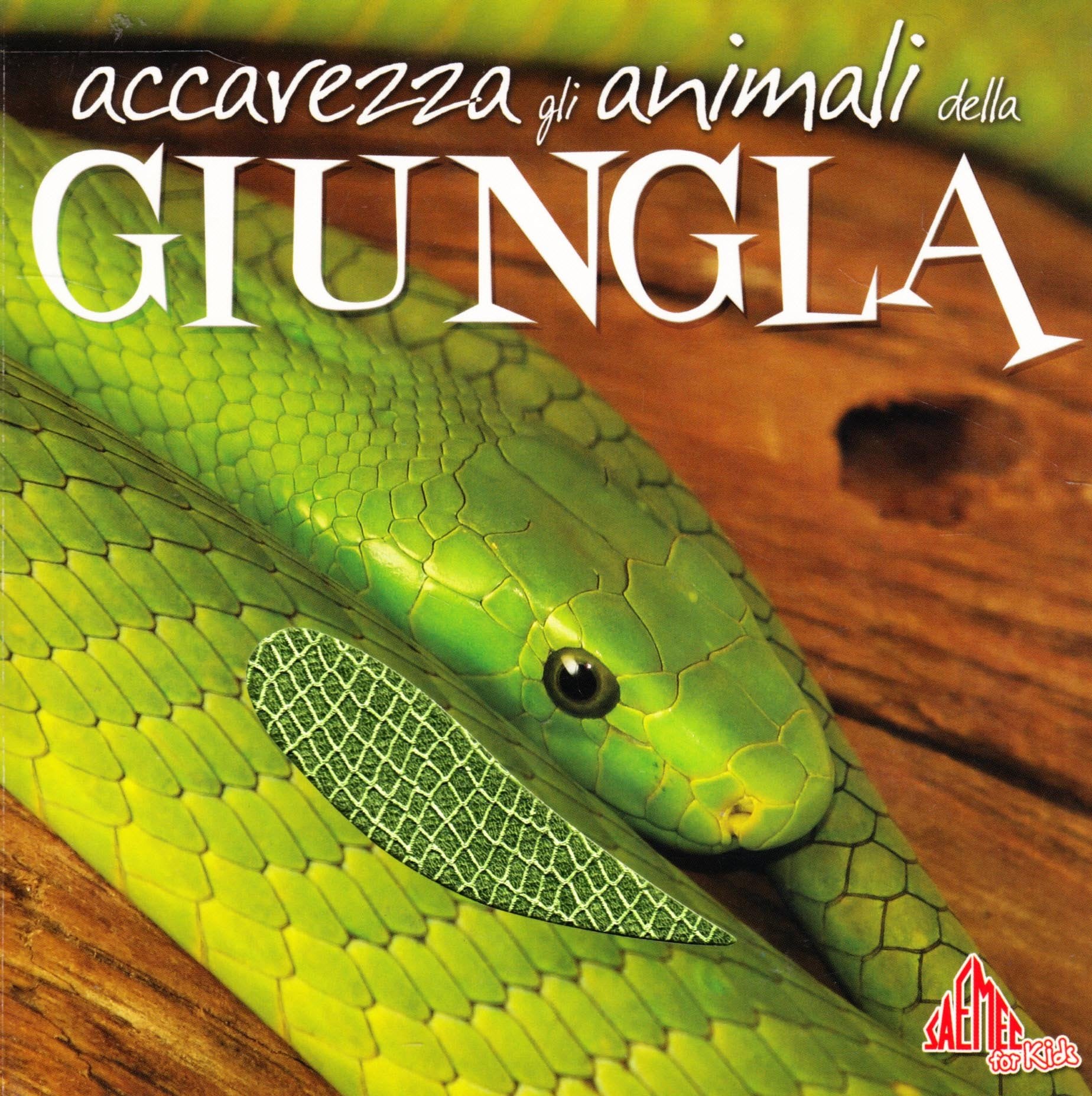 Accarezza gli animali della giungla. Ediz. illustrata book