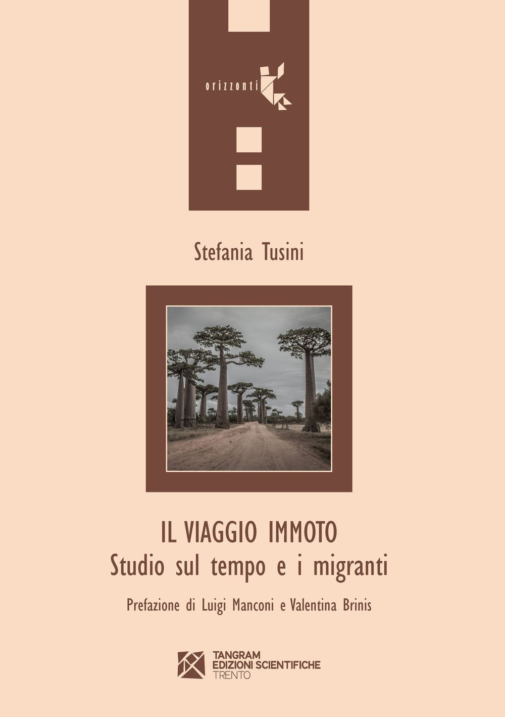 Il viaggio immoto. Studio sul tempo e i migranti book