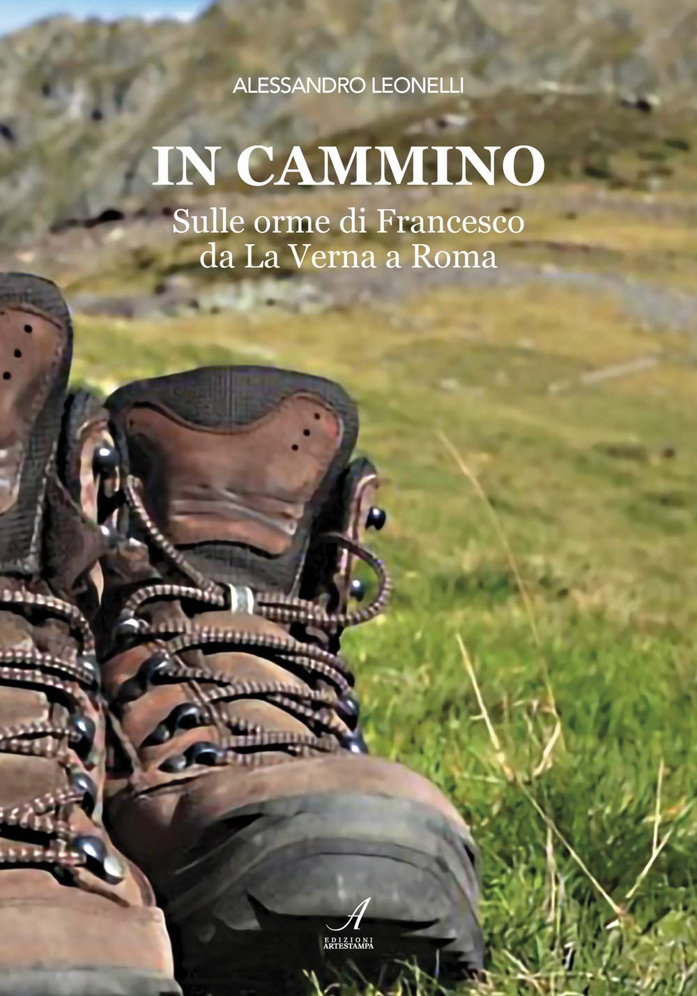 In cammino. Sulle orme di Francesco da La Verna a Roma book