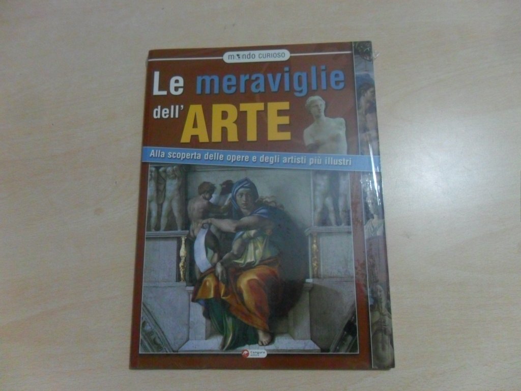 Meraviglie dell'arte. Alla scoperta delle opere e degli artisti più illustri. Ediz. illustrata book