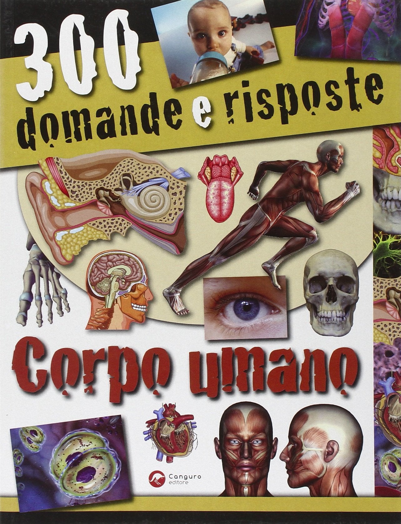 Trecento domande e risposte. Corpo umano. Ediz. illustrata Non-fiction