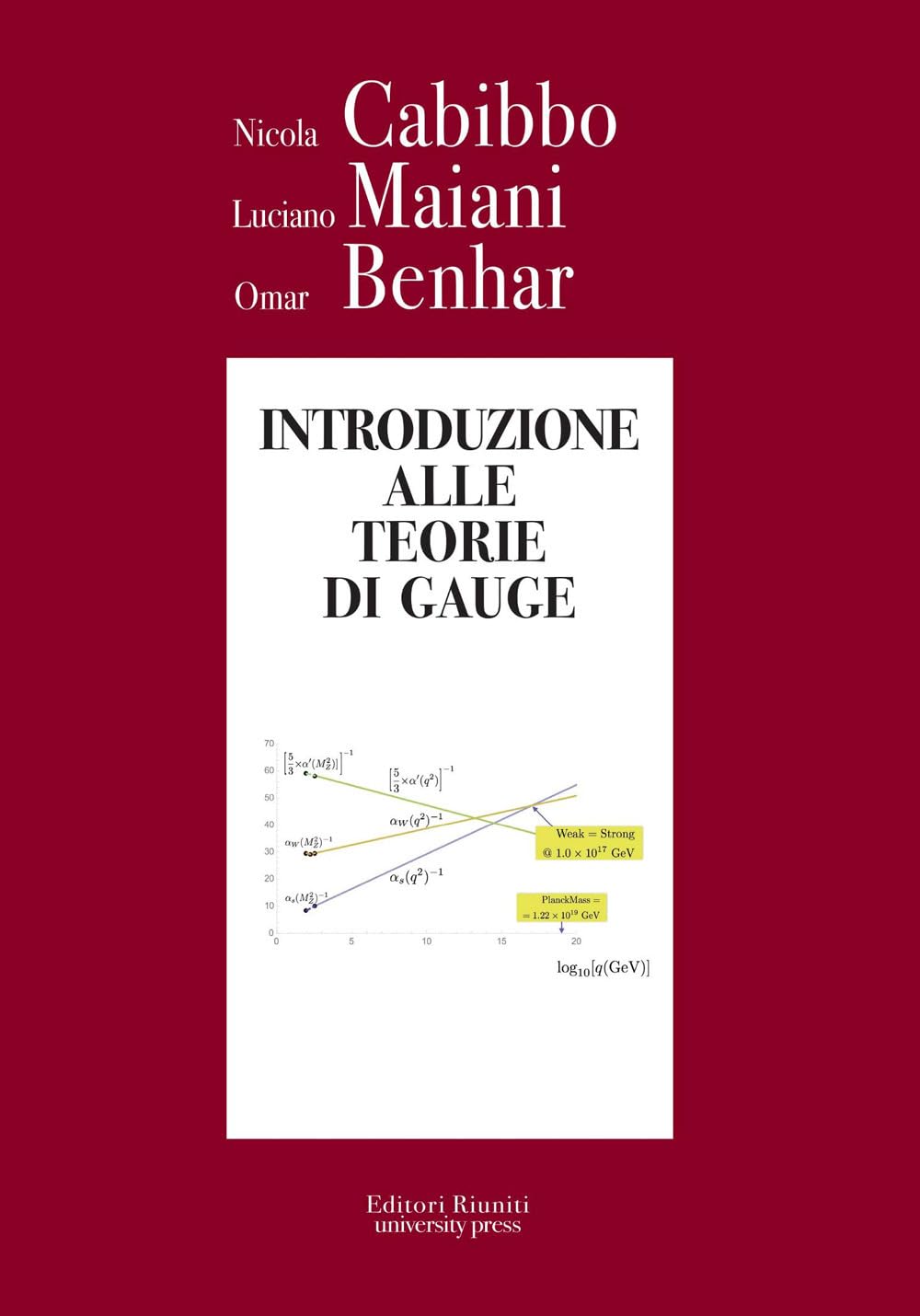 Introduzione alle teorie di Gauge book
