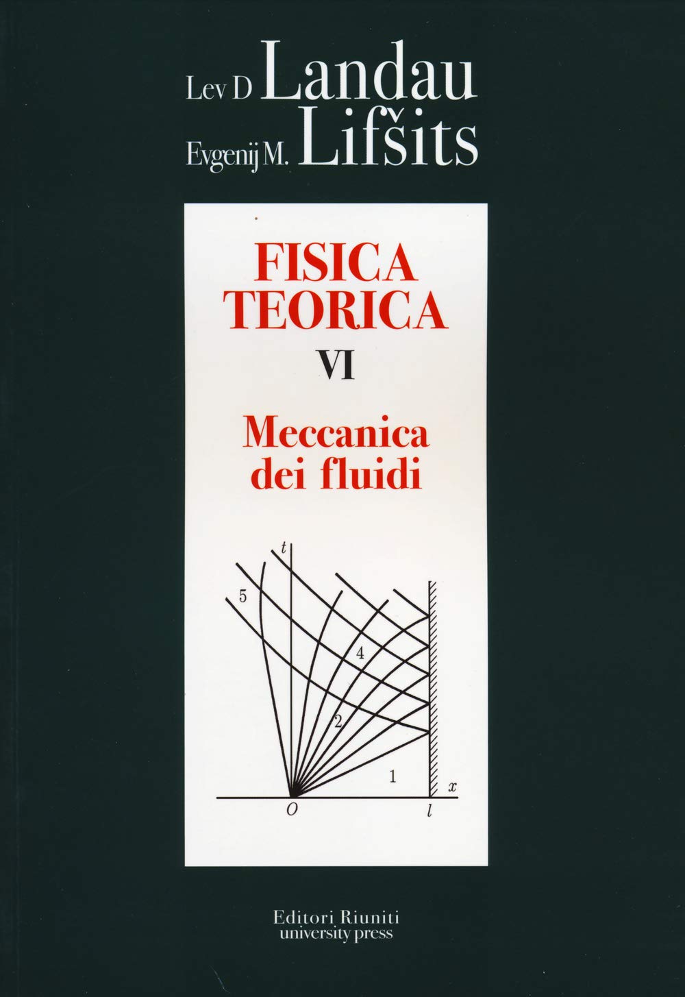 Fisica teorica. Meccanica dei fluidi (Vol. 6) book