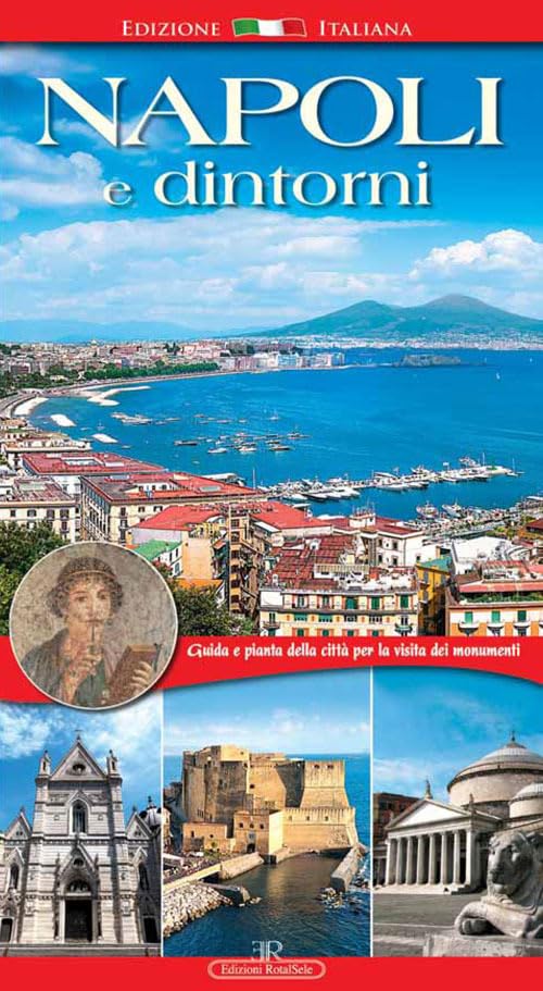 Napoli e dintorni. Guida e pianta della città per la visita dei monumenti book
