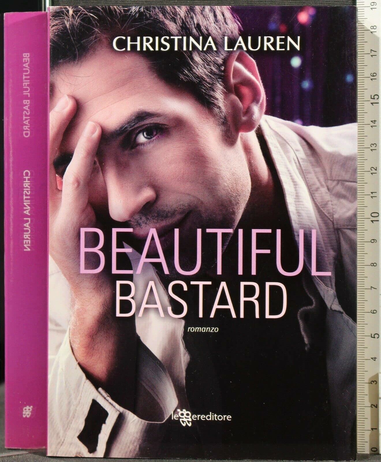 Beautiful bastard (Narrativa) Contemporary literature