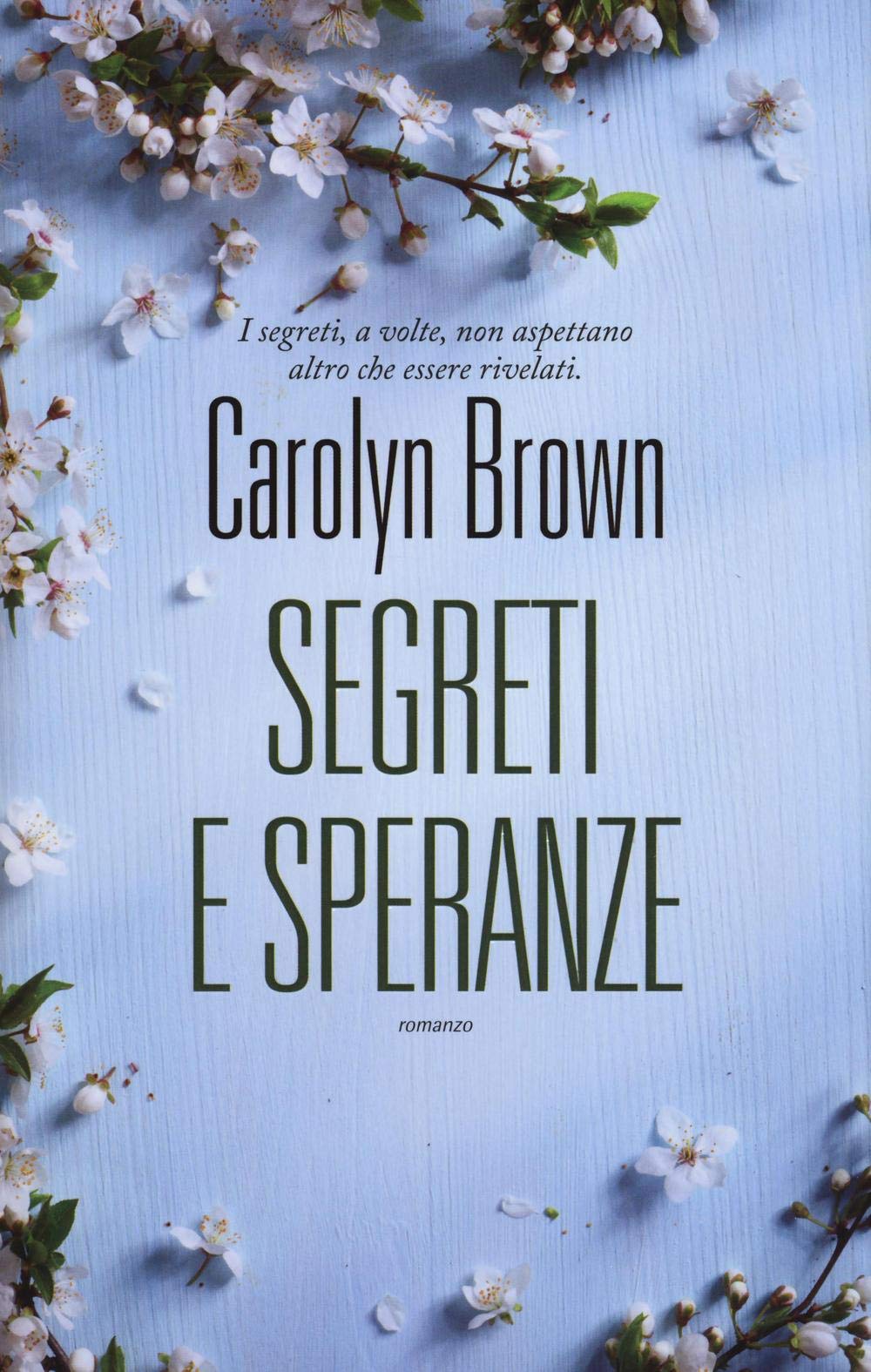 Segreti e speranze (Narrativa) Contemporary literature