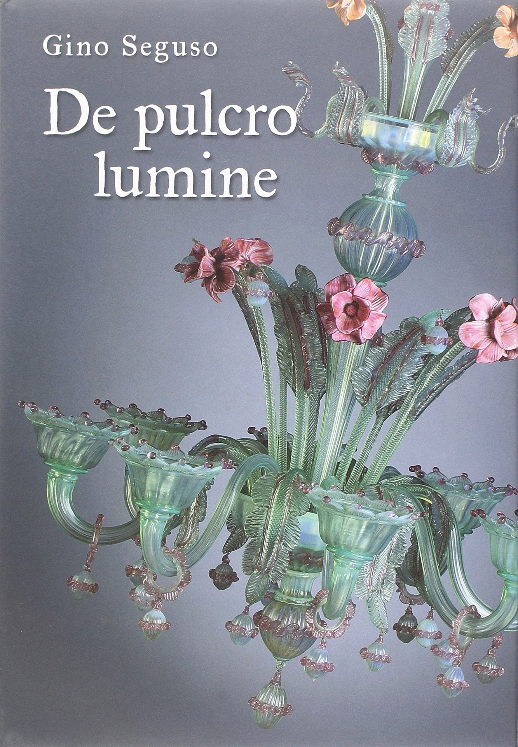 De pulcro lumine. Ediz. illustrata book